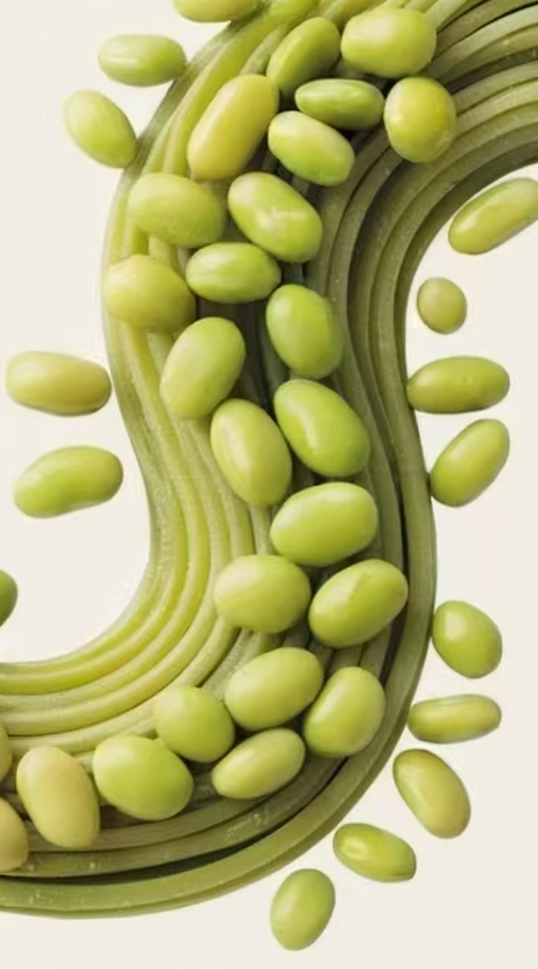 A swirl of green edamame noodles scattered with edamame beans